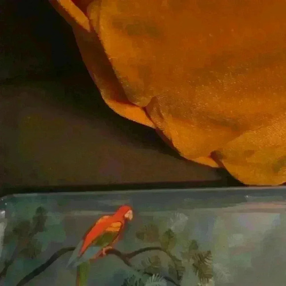 COPY - Large Mebel Italy 1960’s Melamine serving tray very rare panther and par… - Picture 4 of 5